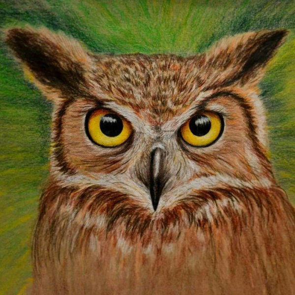 Картины для срисовки простым карандашом софы