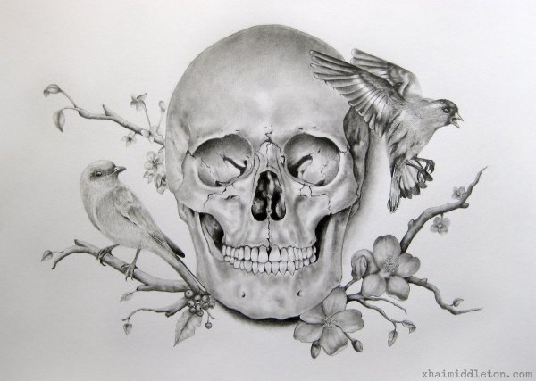 Скелет набросок