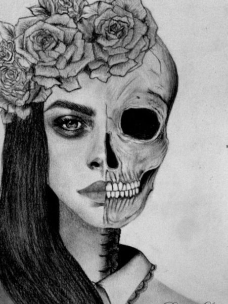 Скелет человека скетч