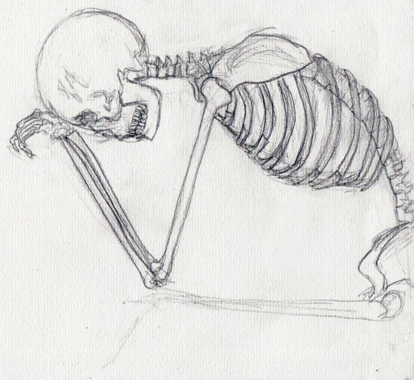 Рисунки для срисовки скелет