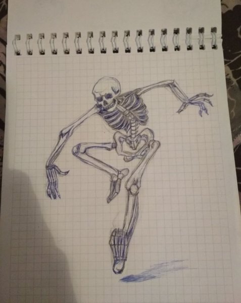 Легкий скелет