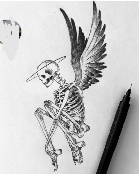 Скелет карандашом для начинающих