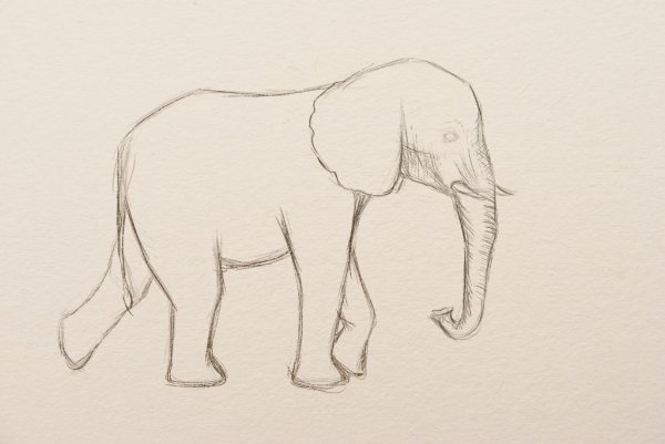 Нарисовать слона