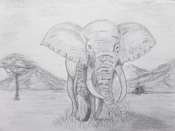 Слон красками для детей