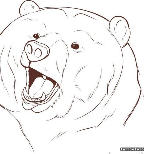 Медведь рисунок