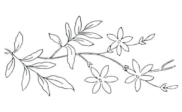Ветка с цветами раскраска