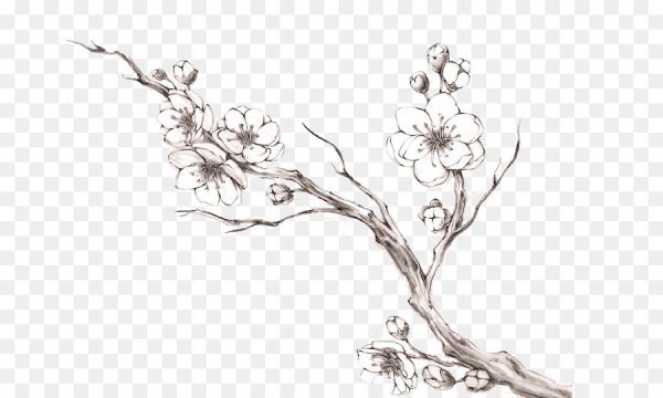 Веточка Графика