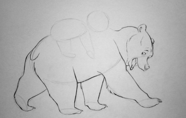 Мишка зарисовка