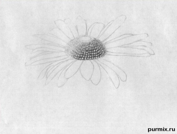 Цветы. Раскраска