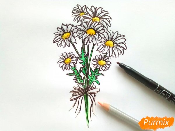 Рисование ромашек карандашом