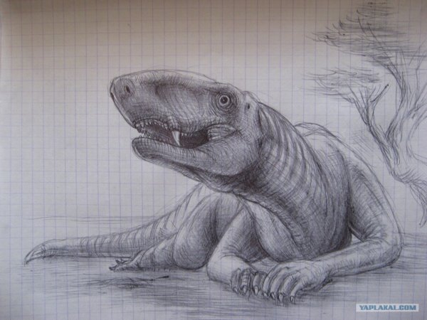Красивые рисунки динозавров