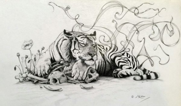 Семья тигров