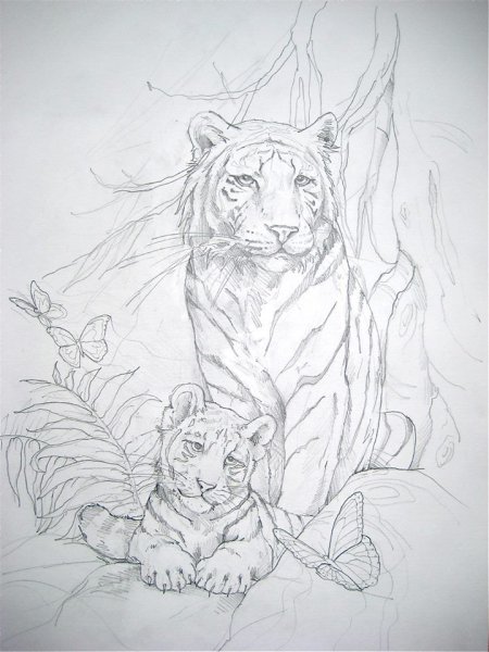 Лев тигр карандашом