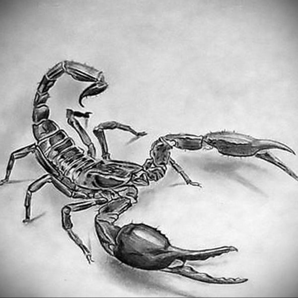 Скорпион скетч стайл