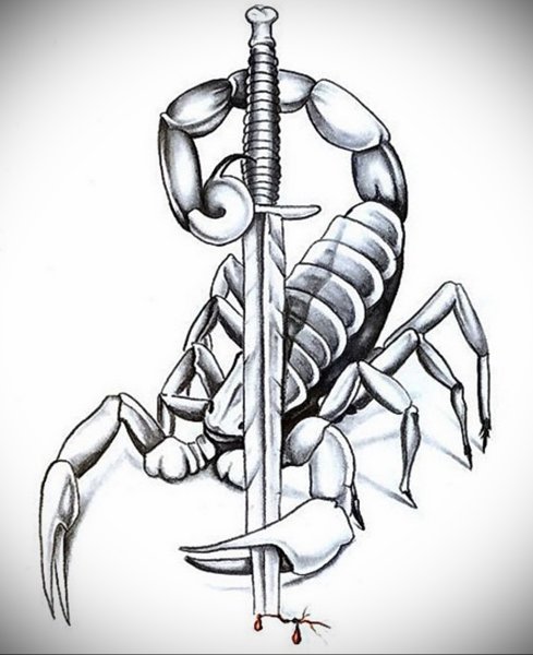 Тату Скорпион