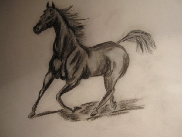 Рисунки углем