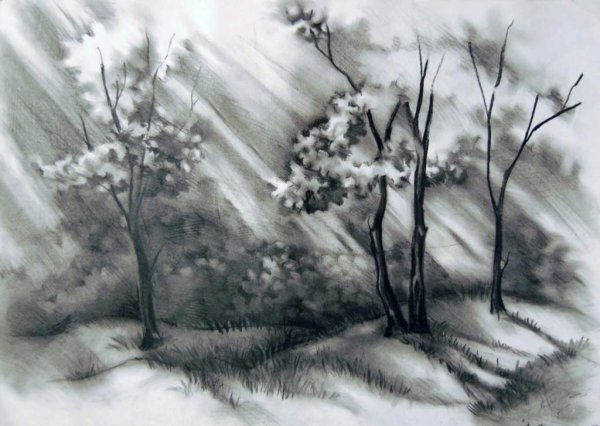 Casey Baugh рисунки