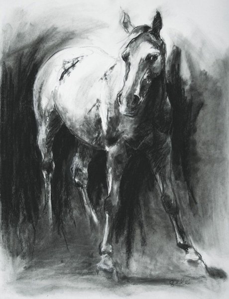 Академическое рисование глаз