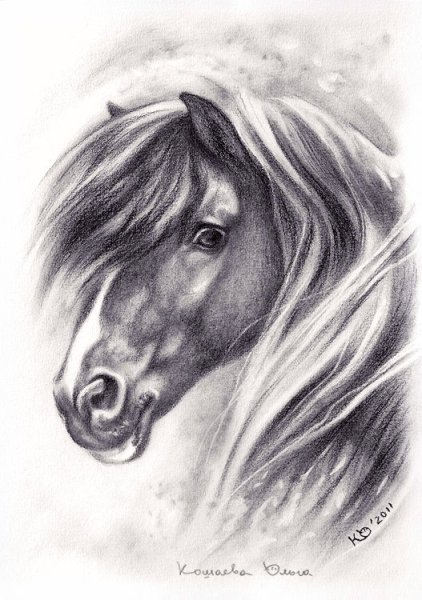 Рисование углем для начинающих