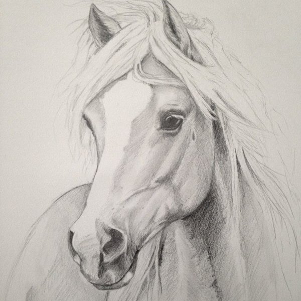 Красивые рисунки