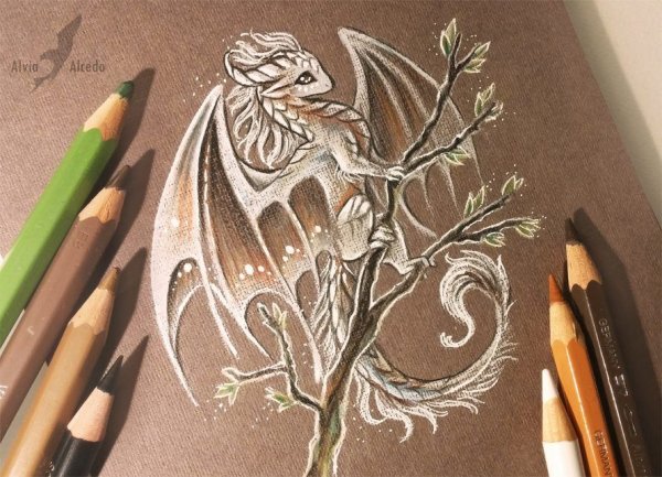 Alvia Alcedo драконы