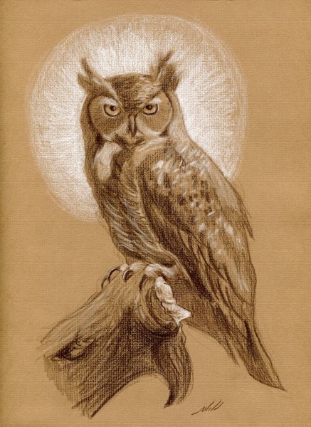 Филин рисунок