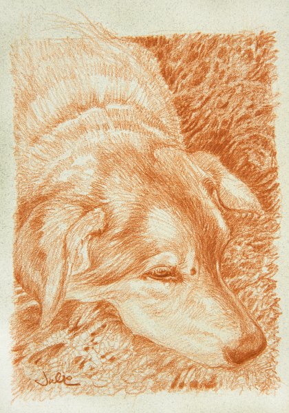 Рисунки сангиной