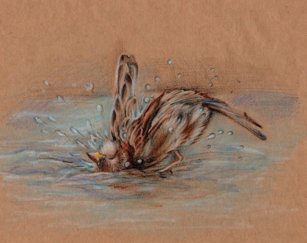 Пастель на коричневой бумаге