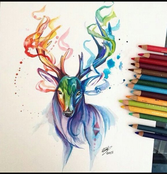 Рисунки цветные легкие