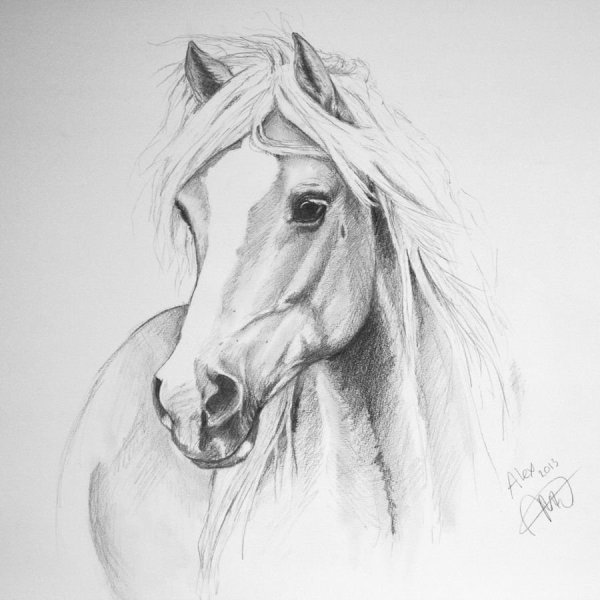 Рисунок девушки карандашом