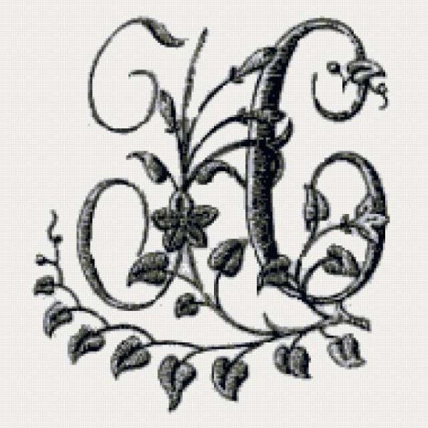 Вышивка гладью инициалы