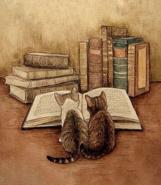 Литературные иллюстрации