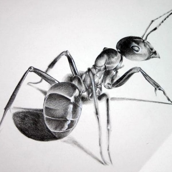 Муравей стилизация