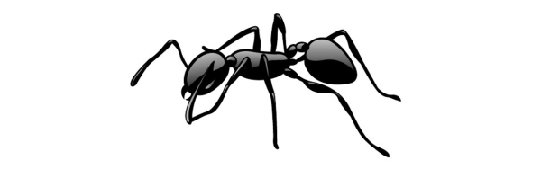 Муравей карандашом