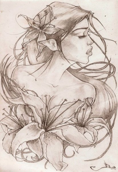 Рисунки карандашом