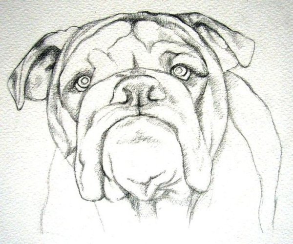 Рисунки карандашом на свободную тему