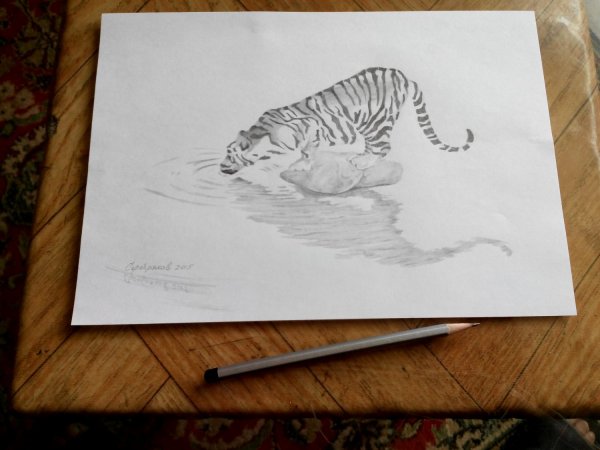 Стол рисунок