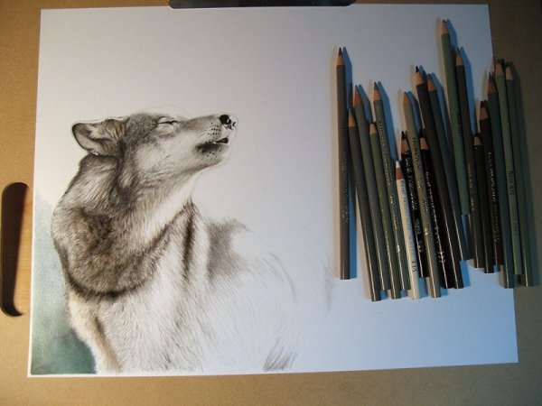 Красивые рисунки карандашом на столе