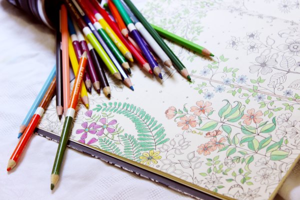 Натюрморт виноград карандашом