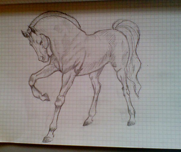 Рисование карандашом