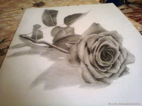 Красивые рисунки простым карандашом