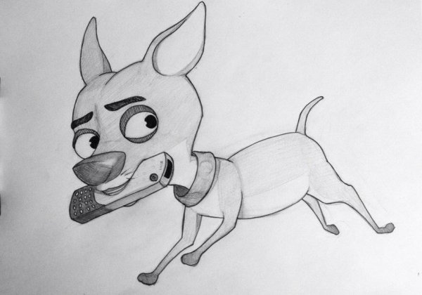 Чихуахуа кусачка