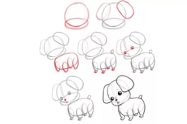 Пошаговый рисунок собаки