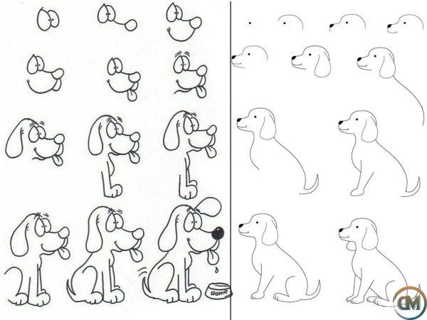 Схема рисования собаки для детей подготовительной группы