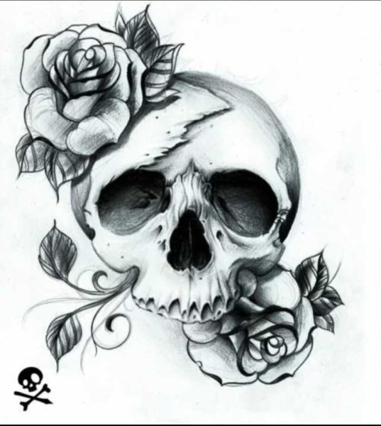 Череп с розой