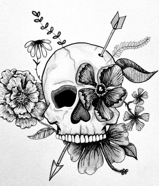 Красивый череп эскиз