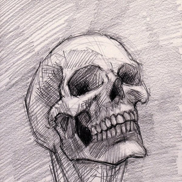 Тату череп карандашом