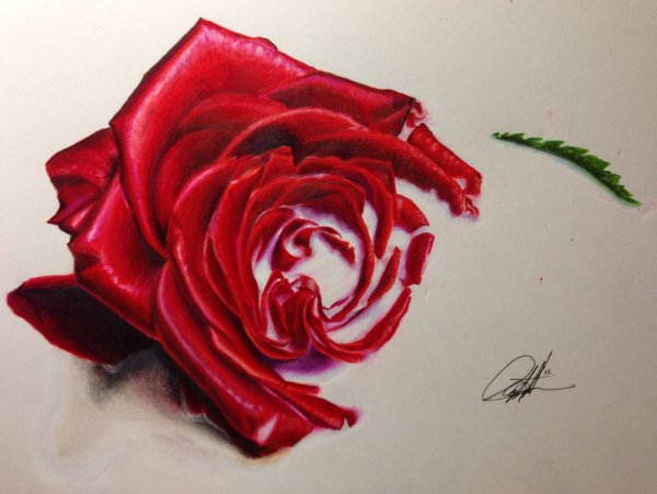 Скетчи красным карандашом