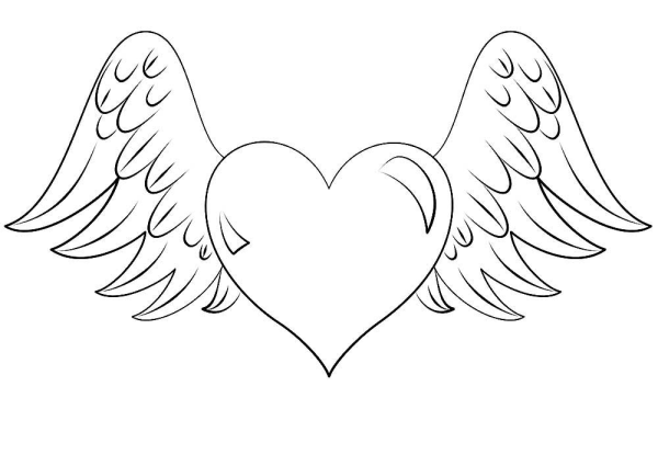 Роза для срисовки