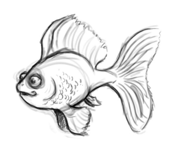 Рыба для срисовки